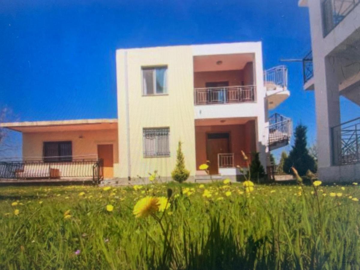 Shyqi Apartments Velipojë 외부 사진